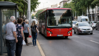 Foto: Niš TV