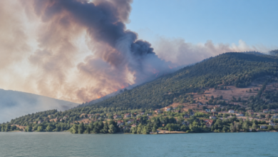 Foto: NIš TV