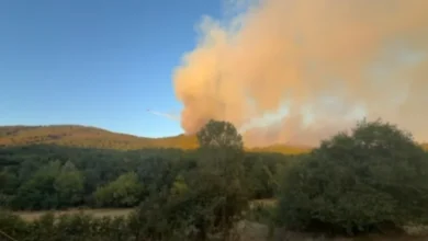 Foto: Niš TV