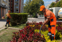 Foto: Niš TV