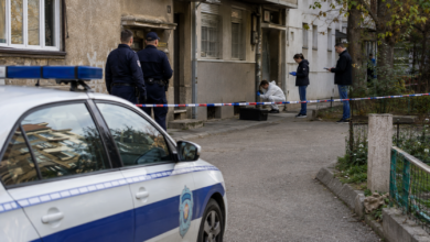 Foto: Niš TV/Ilustracija AI
