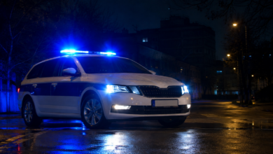 Foto: Niš TV/Ilustracija AI