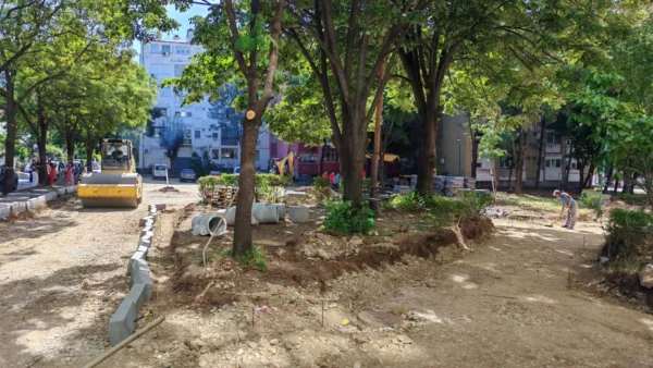 Foto: Niš TV
