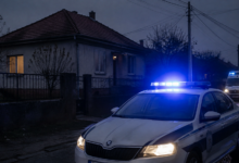 Foto: Niš TV/Ilustracija AI