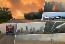 Foto: Niš TV/printscreen
