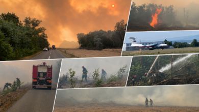 Foto: Niš TV/printscreen