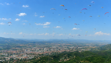 Foto: Niš TV