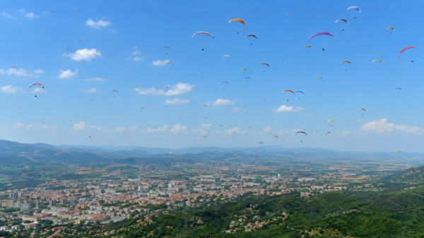 Foto: Niš TV
