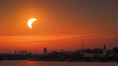 Foto: Niš TV/Ilustracija AI