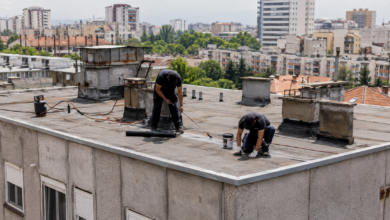 Foto: Niš TV/Ilustracija AI