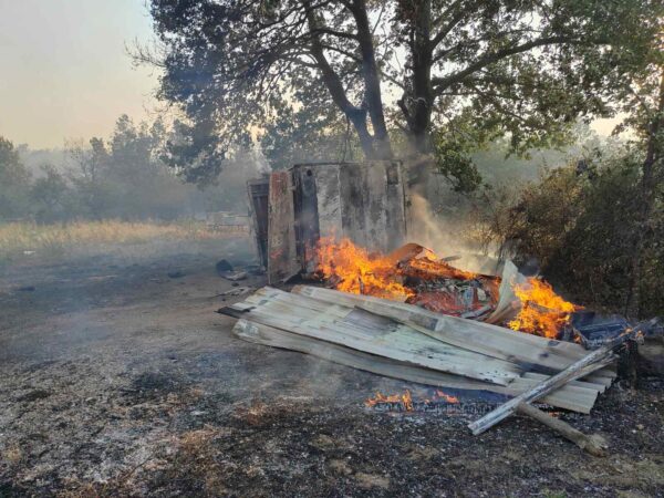 Foto: Niš TV