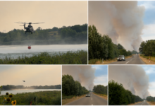 Foto: MUP Srbije