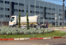 Foto: Niš TV