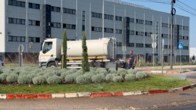 Foto: Niš TV