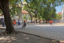 Foto: Niš TV