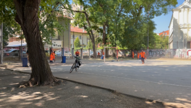 Foto: Niš TV