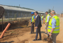 Foto: Niš TV