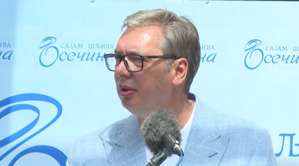 Foto: Niš TV/printscreen