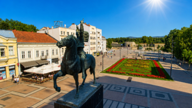Foto: Niš TV/Ilustracija