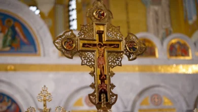 Foto: Društvene mreže
