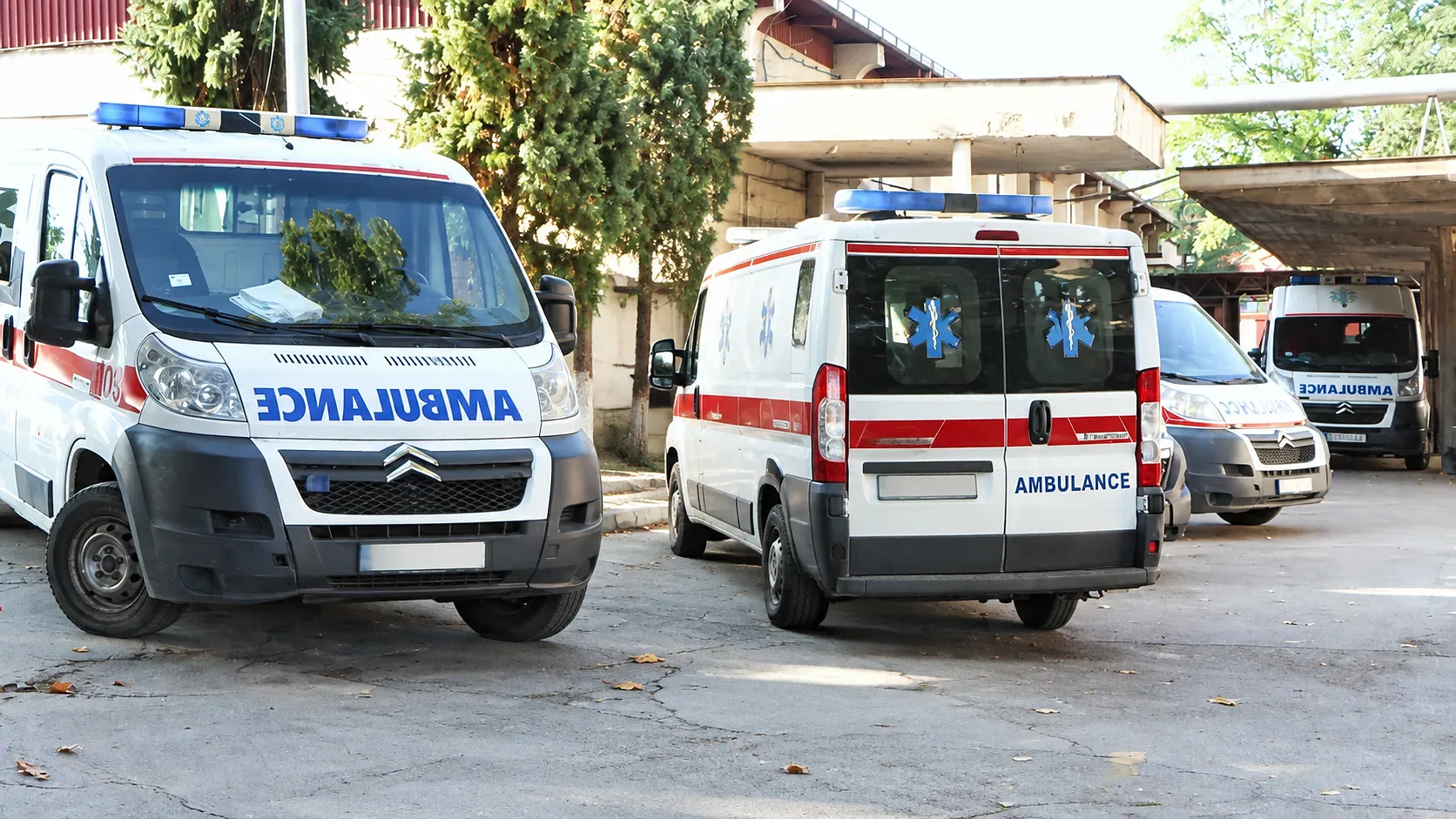 Foto: Niš TV