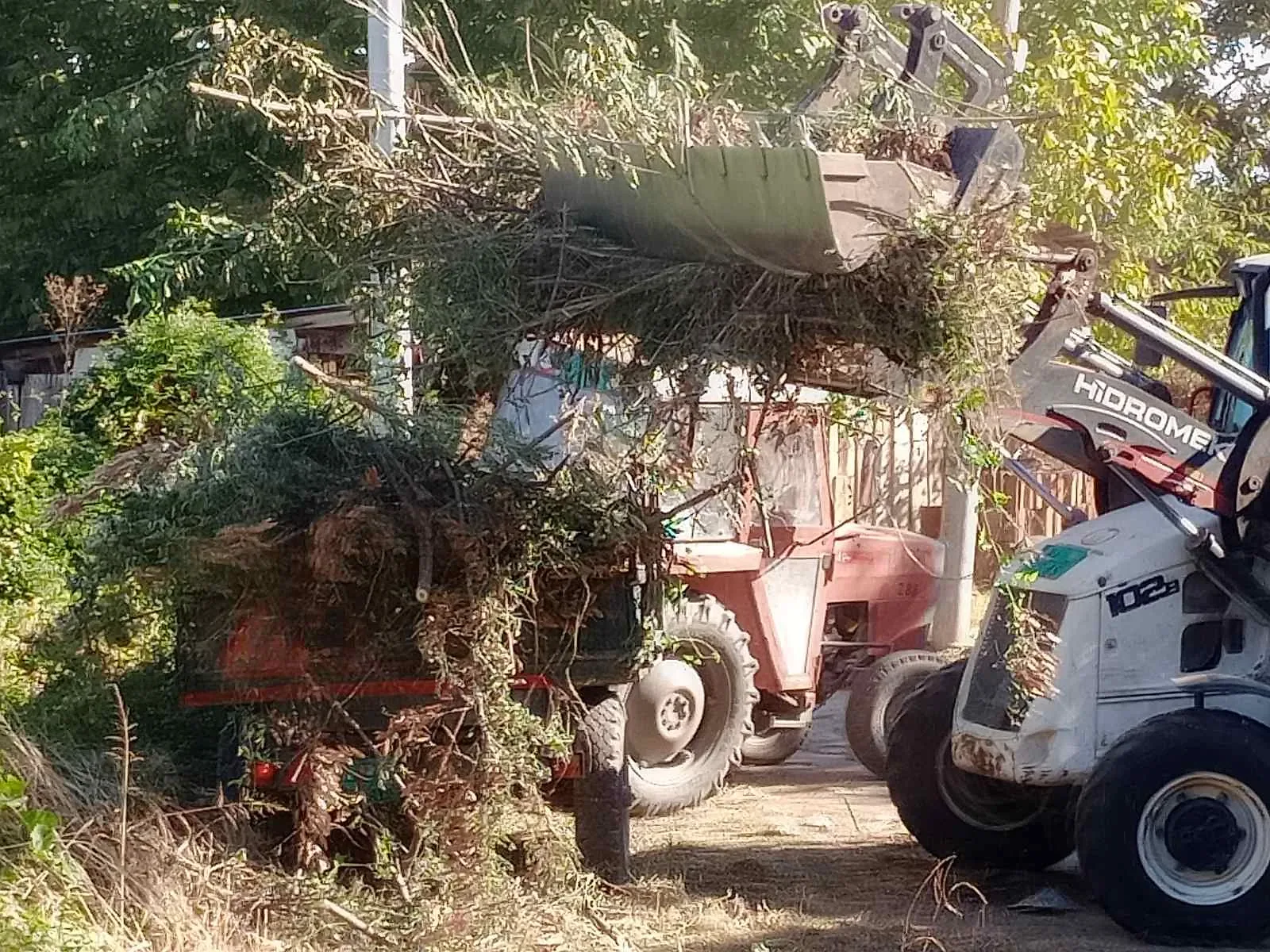 Foto: JKP Mediana