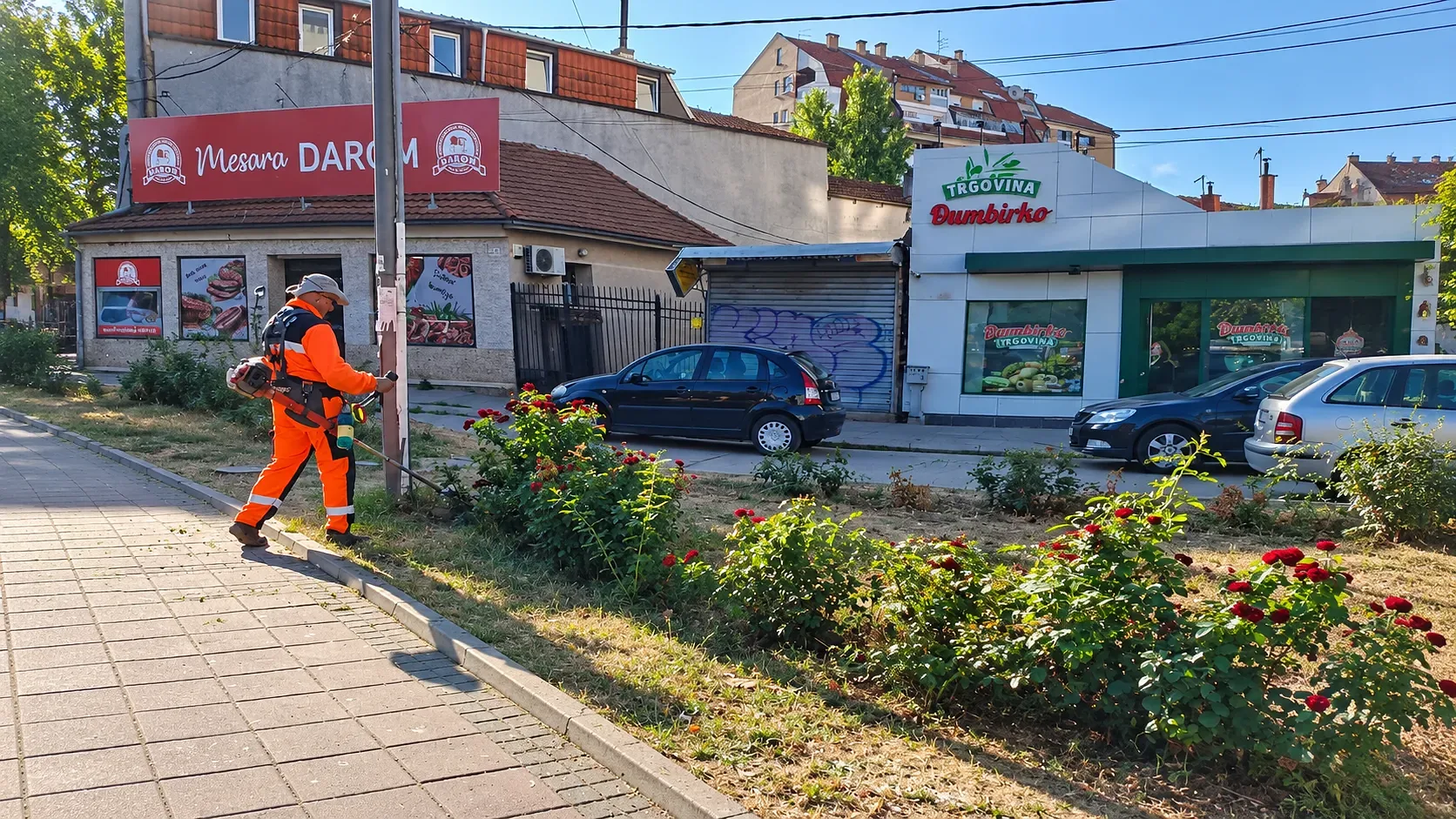 Foto: JKP "Mediana"