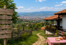 Foto: Niš TV/Ilustracija AI