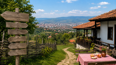 Foto: Niš TV/Ilustracija AI