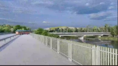 Foto: Niš TV