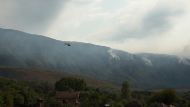 Foto: Niš TV