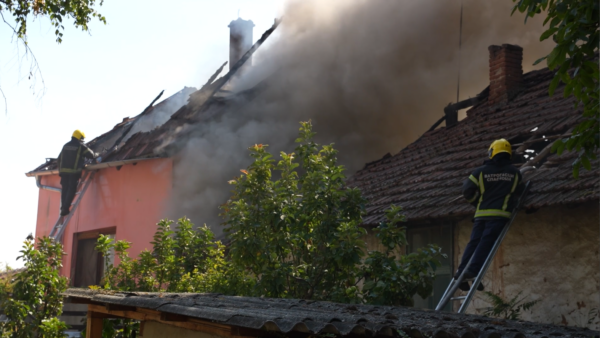 Foto: Niš TV