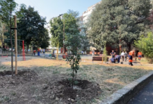 Foto: Niš TV