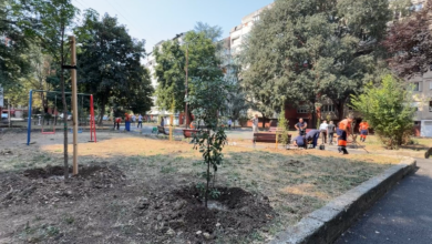 Foto: Niš TV