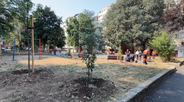 Foto: Niš TV