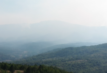 Foto: Niš TV