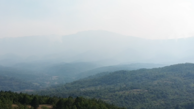 Foto: Niš TV