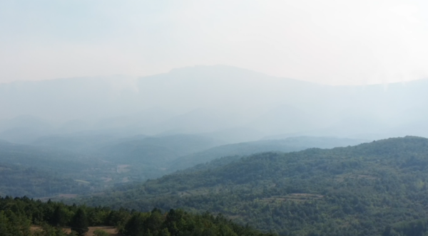 Foto: Niš TV