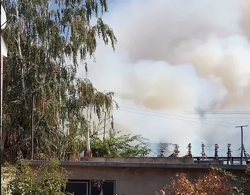 Foto: Niš TV