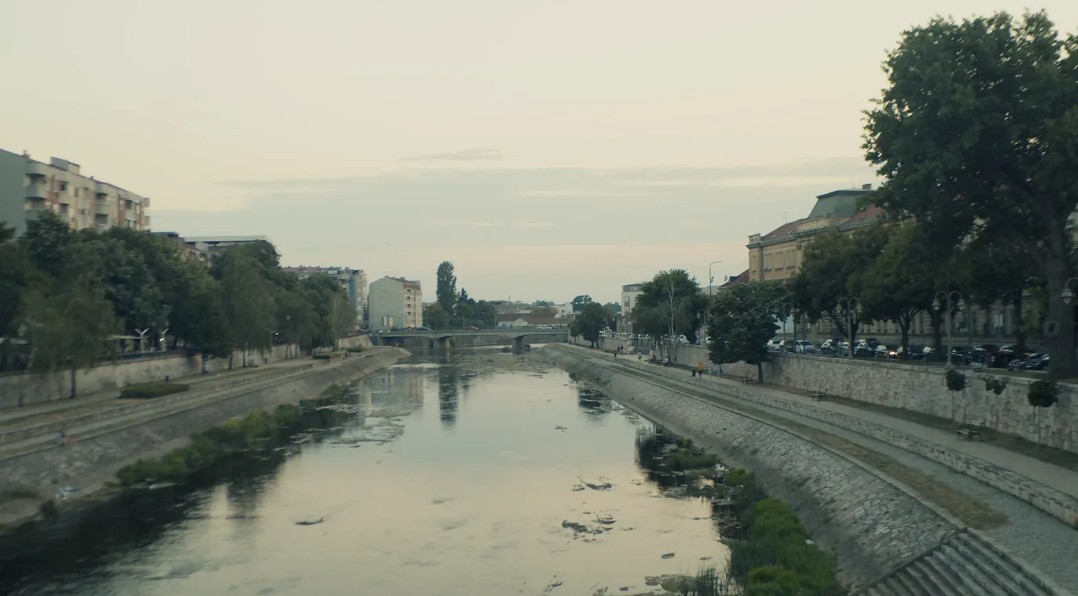 Foto: Niš TV