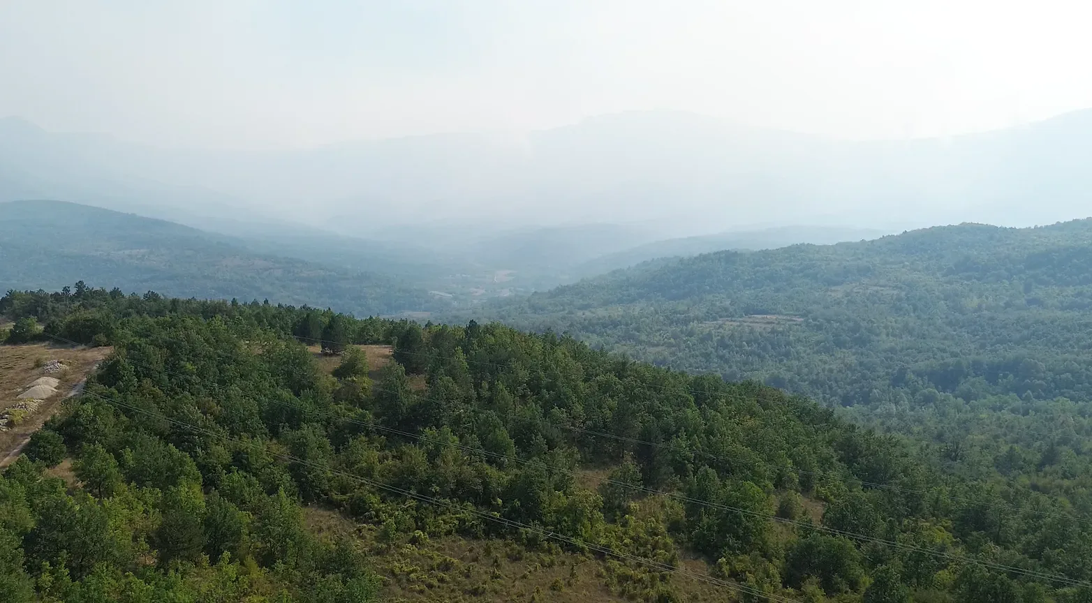 Foto: Niš TV