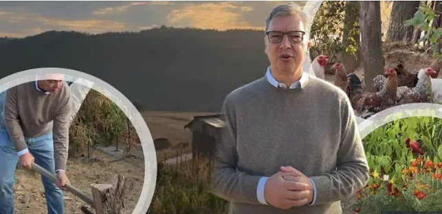 Foto: printscreen Instagram avucic