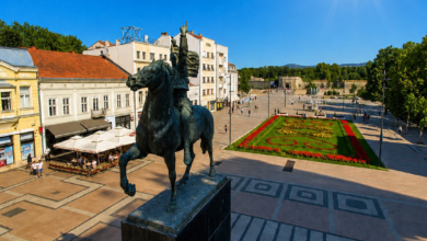 Foto: Niš TV
