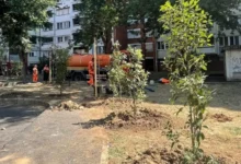 Foto: Uprava za lokalni ekonomski razvoj i investicije