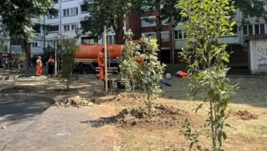 Foto: Uprava za lokalni ekonomski razvoj i investicije