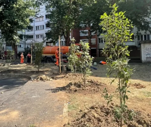 Foto: Uprava za lokalni ekonomski razvoj i investicije