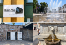 Foto: Niš TV