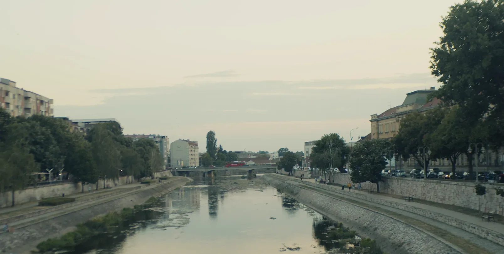 Foto: Niš TV