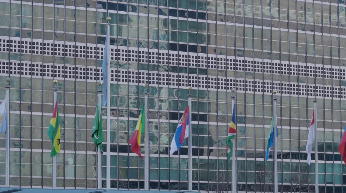 Foto: Niš TV/printscreen