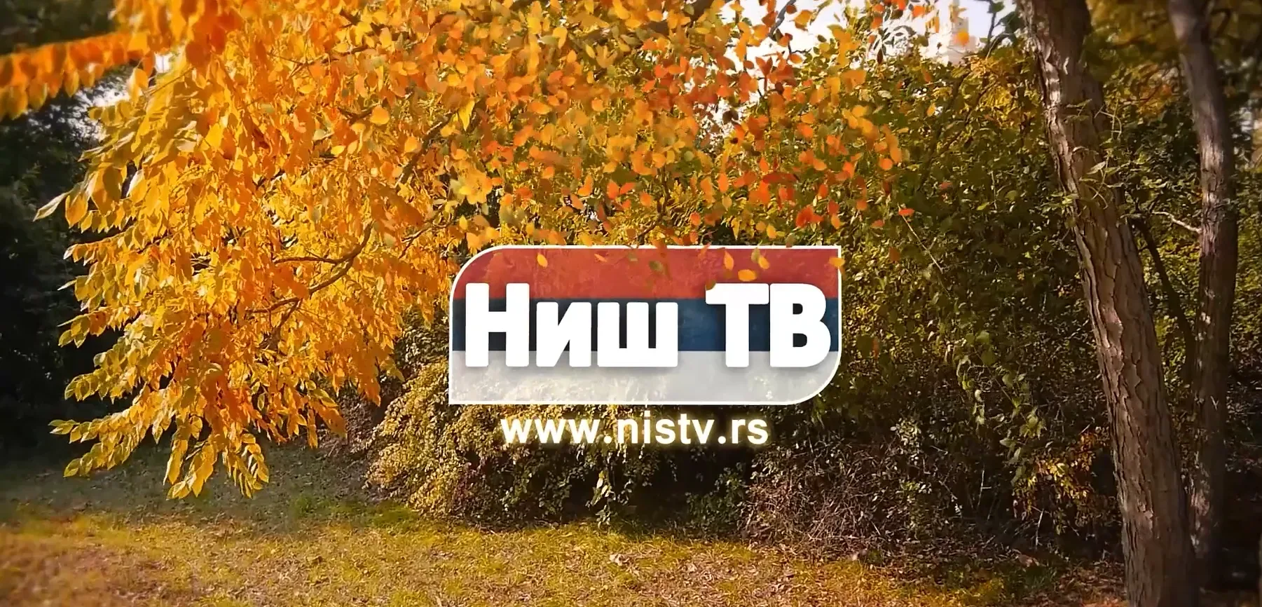 Foto: Niš TV